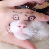 两只鸡崽