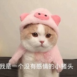 暖暖