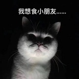 孙燕姿