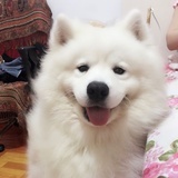 豆友192945887