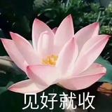 雨凉