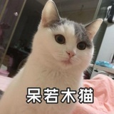 被开除的设计师