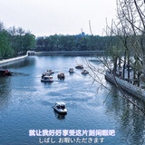 浮生若梦