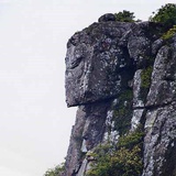 郑见吾