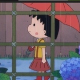 情关花嫁