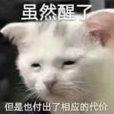 再也不磕rps