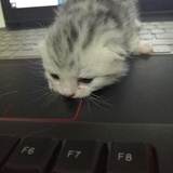 忘风尘