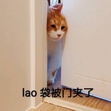 柠檬盐汽水101