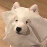 米乌拉