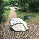 箫音