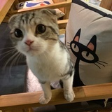 ASHIN书店经营