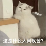 kimo