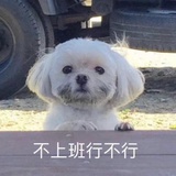 香橼唯一的姐