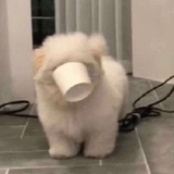 瓜来