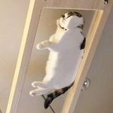 玻璃小透明