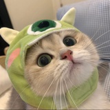 蛤蜊蒸蛋