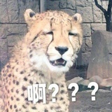 姜本姜