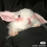 午后狂睡