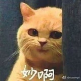 爱吃你豆腐