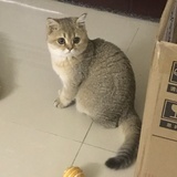 呆呆他妈