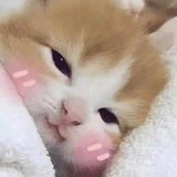 豆友193228073