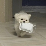 筠
