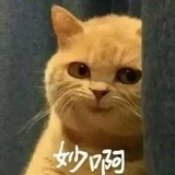 米落于惊蛰