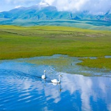 小流