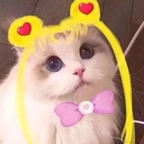 渡边麻友