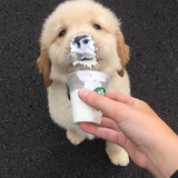 烤鸭脑袋