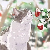 克鲁灰灰