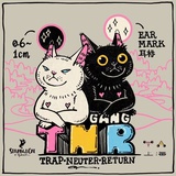 三只小猫