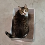 富贵