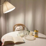 敬辑