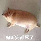 煤人心计