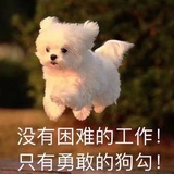 12生肖排行6