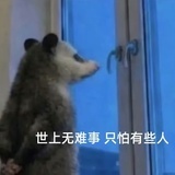 还是他不懂