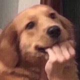 不如搞钱