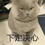 艳阳天里
