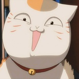 普A甲