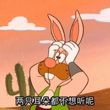 港岛妹妹