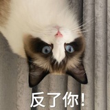 二月乙酉