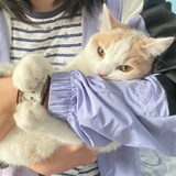小先