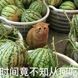 吃瓜群众已就位