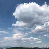 金曉貞
