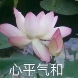 艾丽丝