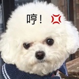 此地无恒三百斤