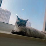 南风风