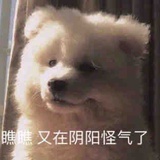 嗯行随便baq