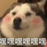 对方正在输入中